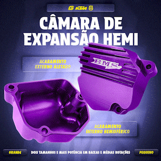 Show Radical - BMS RACING